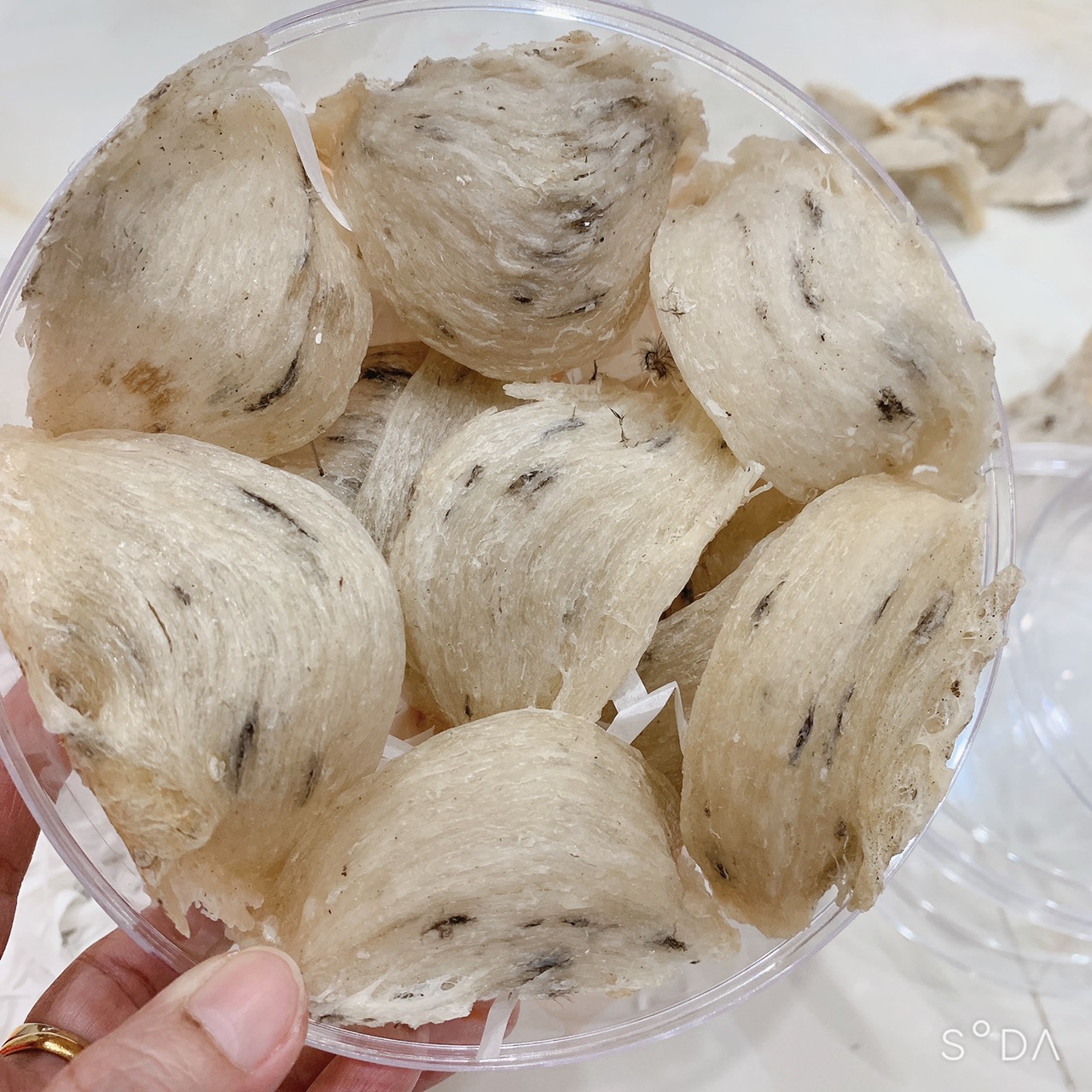 d0e558792ec5df9b86d4