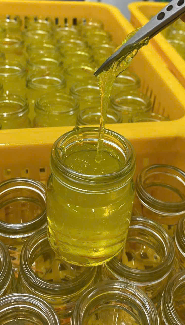 z6094633411984 727a03a65001e3a70e7e4aeddcea8a62