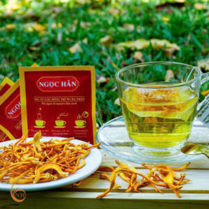 TRÀ TÚI LỌC ĐÔNG TRÙNG HẠ THẢO NGỌC HÂN - Hộp nhỏ 10 gói