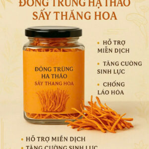 ĐÔNG TRÙNG HẠ THẢO SẤY THĂNG HOA